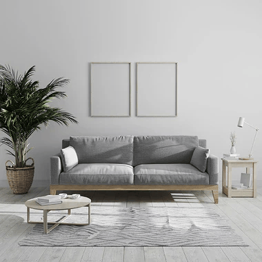 Sofa Sets